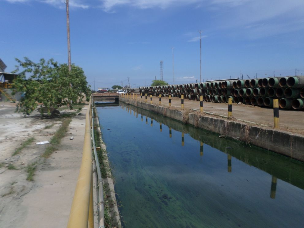 Saneamiento y restauración de muelles