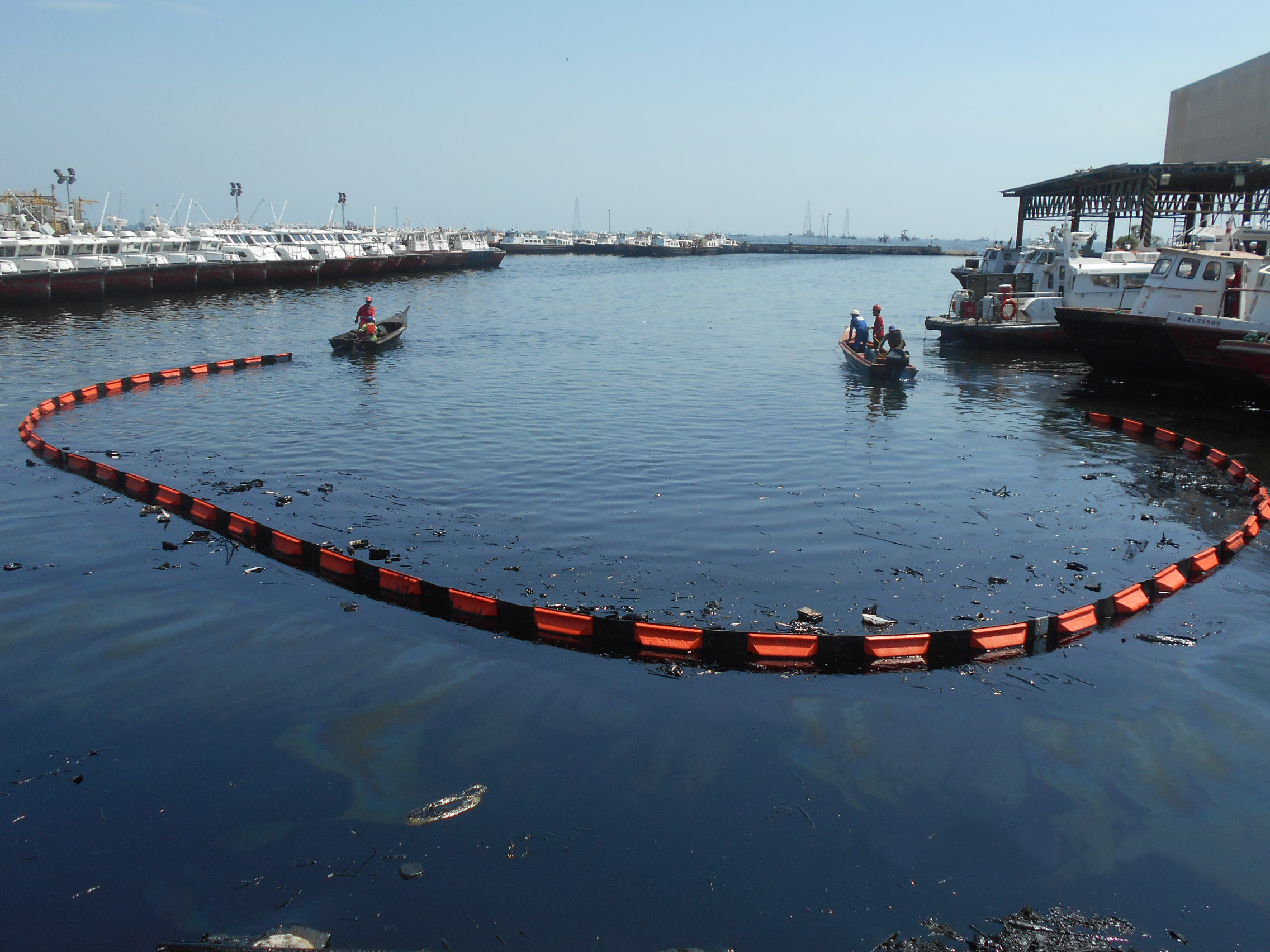Sanitation of Shores of Lake Maracaibo Impacted by Oil Spills